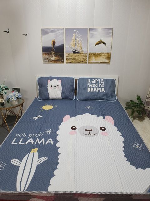 CHIẾU ĐIỀU HÒA TENCEL LOẠI 1DÀY