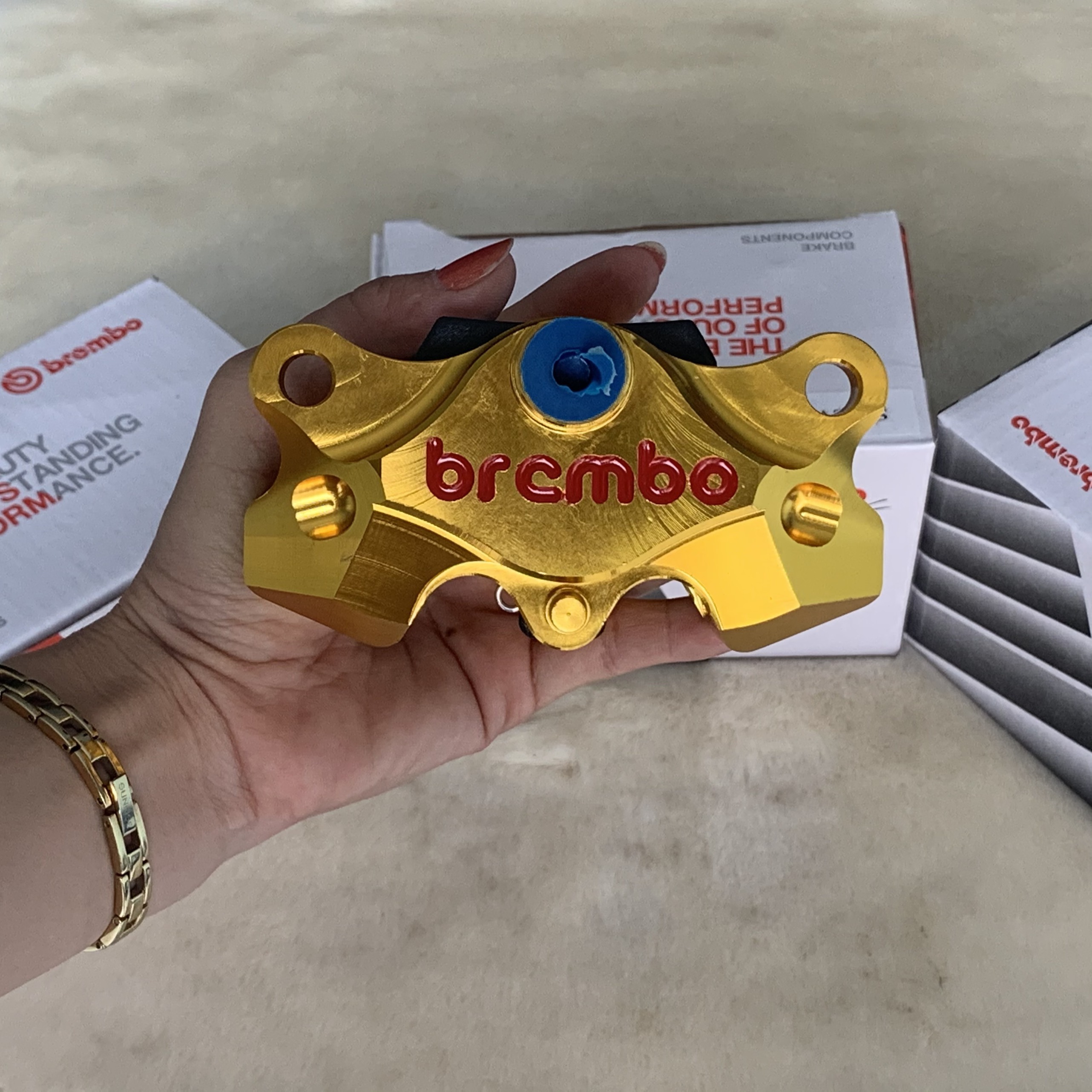 [ Gía rẻ ] Heo Brembo 2 Piston đối xứng gắn được mọi dòng xe
