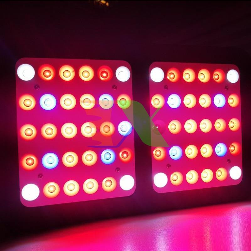 Led grow light (Veg, Bloom) GL-R600 600W