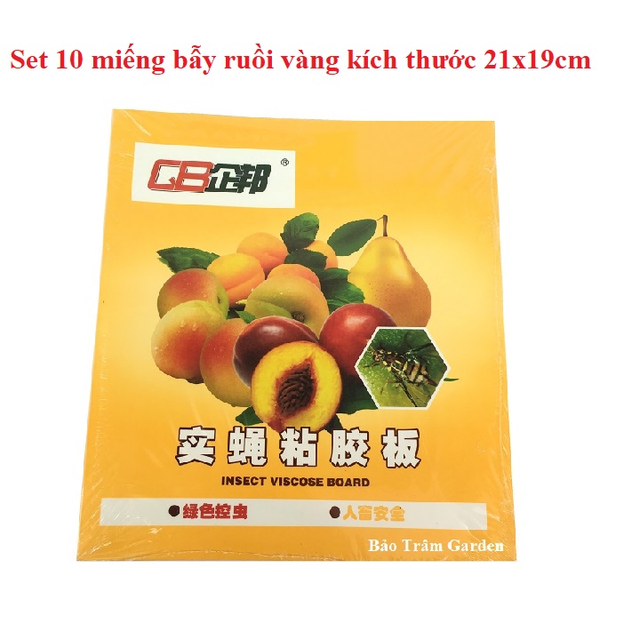 Set 10 miếng dán bẫy ruồi vàng kích thước 21x19cm
