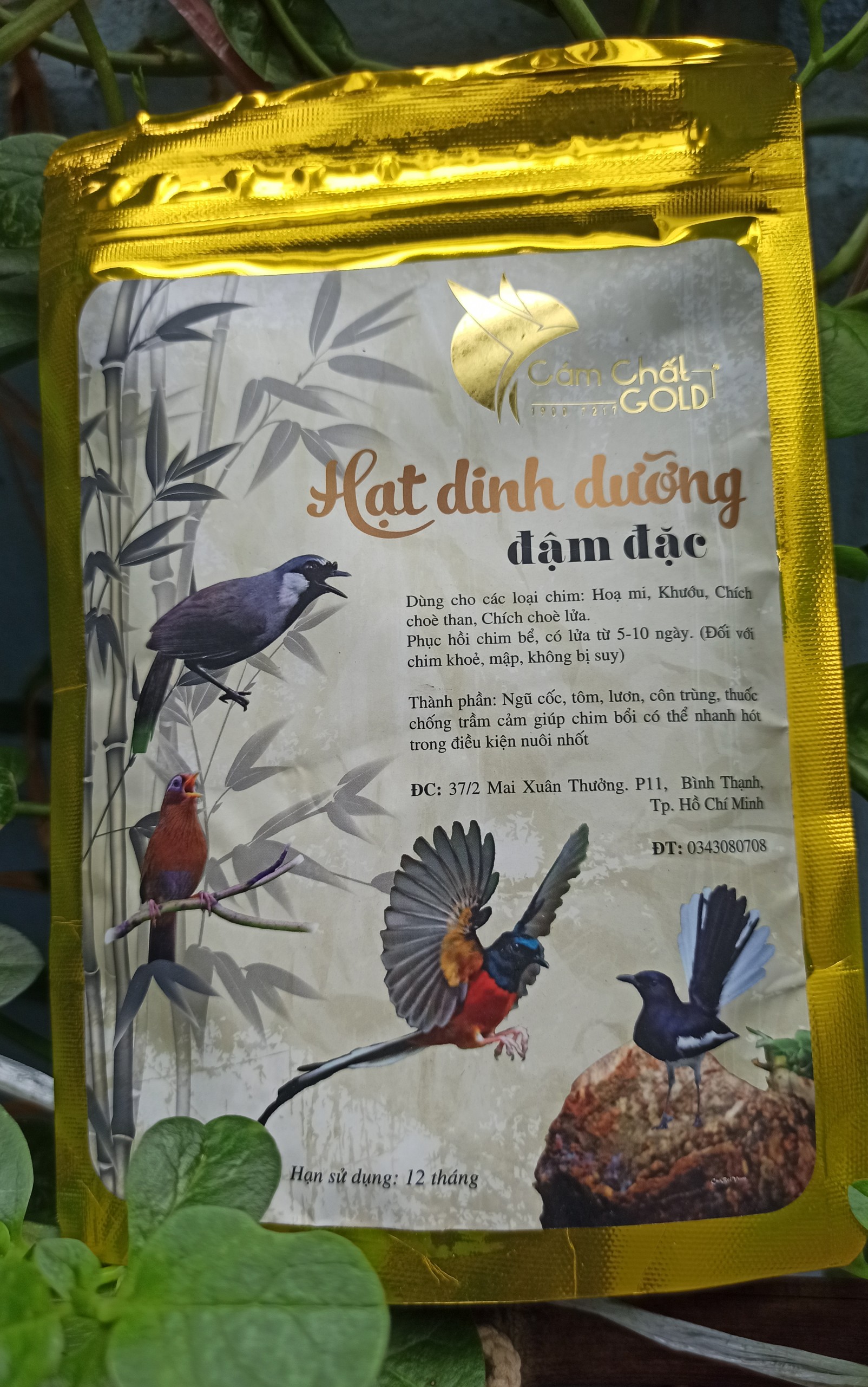 10 bước chú ý khi mới mua Họa Mi mang về nhà | Cám chim đất việt, cám chim,  cám chòe, cám mi, cám mào, cám cu gáy