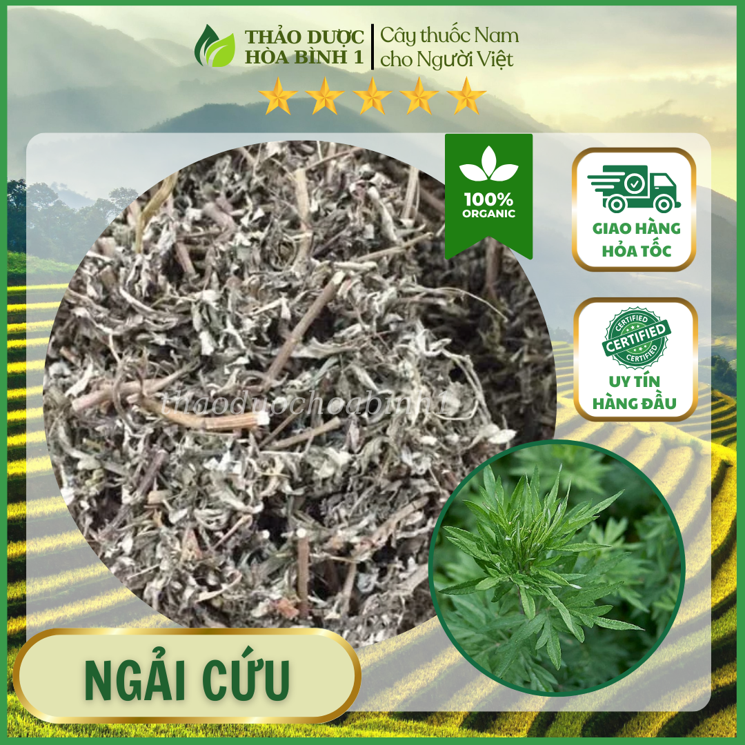 500gr lá ngải cứu khô thơm ngon chuẩn xịn.