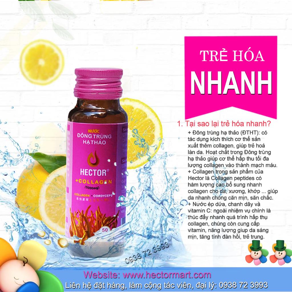 Đông trùng hạ thảo Hector Sâm (Hộp 10 Chai)
