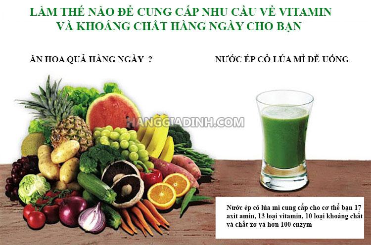 Bột cỏ lúa mì khu vườn của mẹ