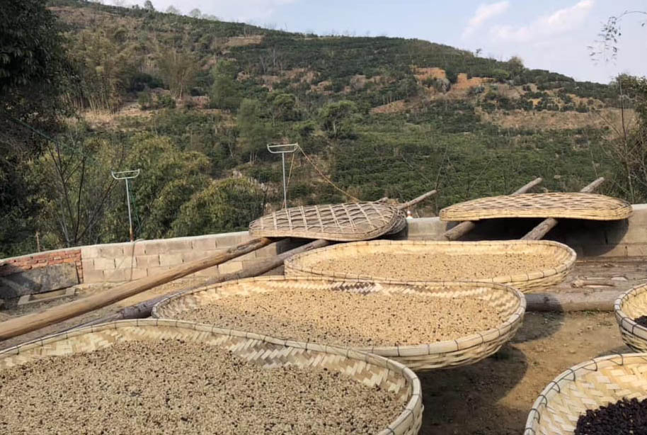 500G CÀ PHÊ ARABICA CẦU ĐẤT