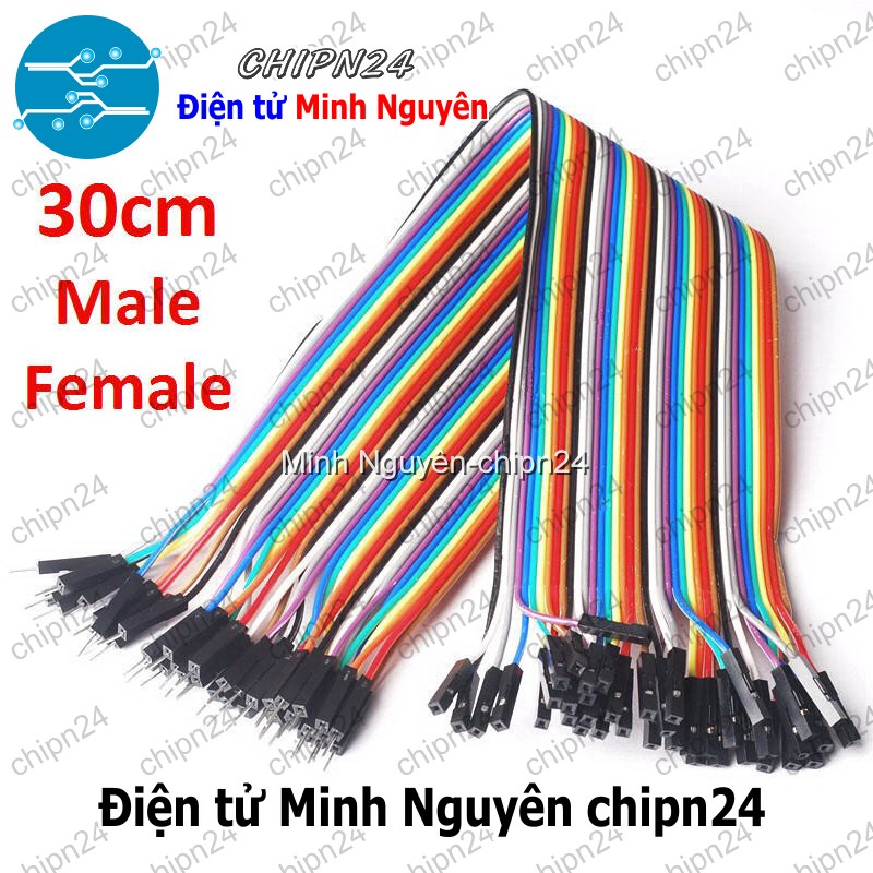 [20 sợi] (P72) Dây Cắm Test Board 30cm Đực-Cái - HH000203