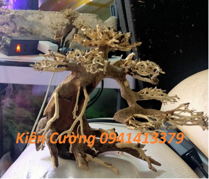 Mô hình Cây gỗ lũa thủy sinh Không tán dùng cho bể cá cảnh, Gỗ lũa các SIZE