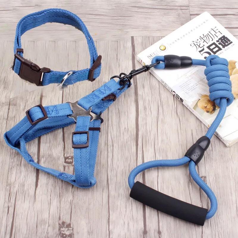 [HCM]Dây dắt 3 in 1 ( Dây dắt Vòng cổ Đai bụng) cho thú cưng