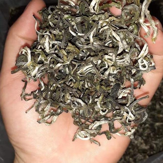 1kg chè shan tuyết 2 tôm