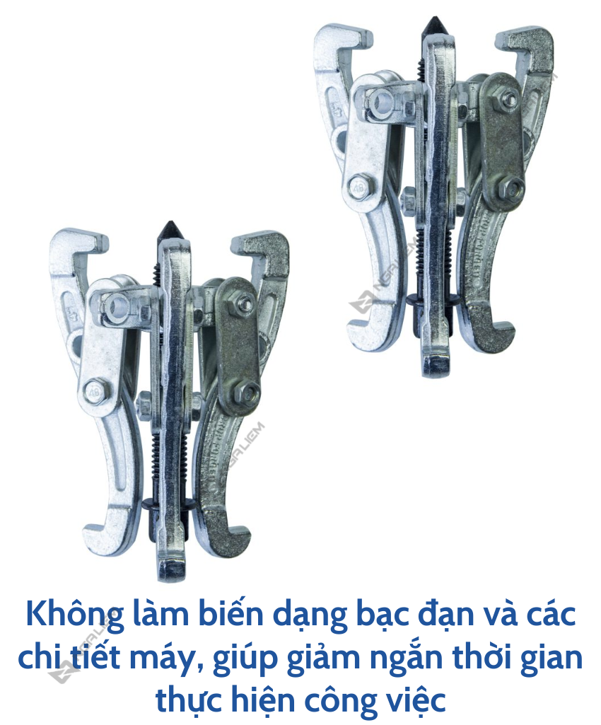 Cảo 2 Chấu, 3 Chấu LS+