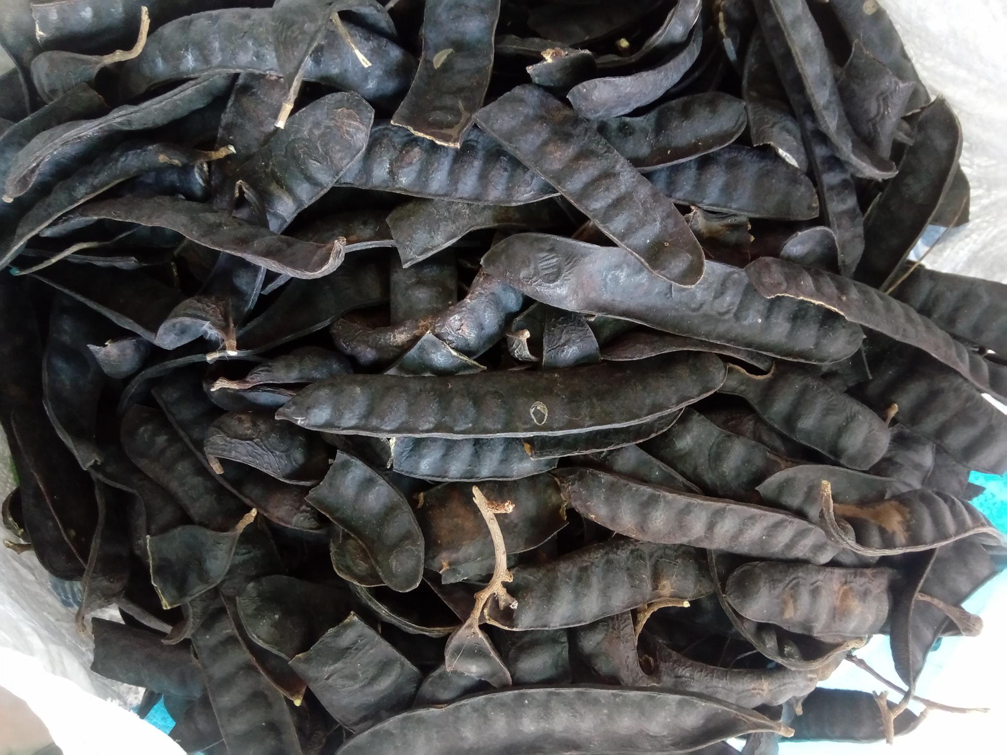Quả bồ kết ( đóng gói 1kg)