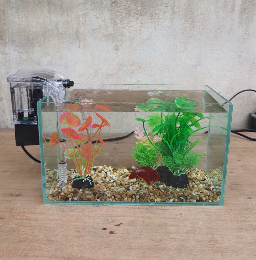Bể cá mini 24 cm với 5 món (bể 24, sỏi nền, máy lọc, cây nhựa vừa, cây nhựa mini)