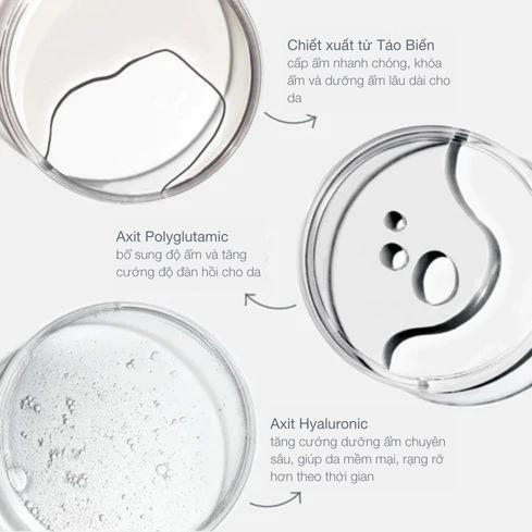 Tinh chất cấp ẩm và giữ ẩm cho da Dermalogica Circular Hydration Serum 30ml