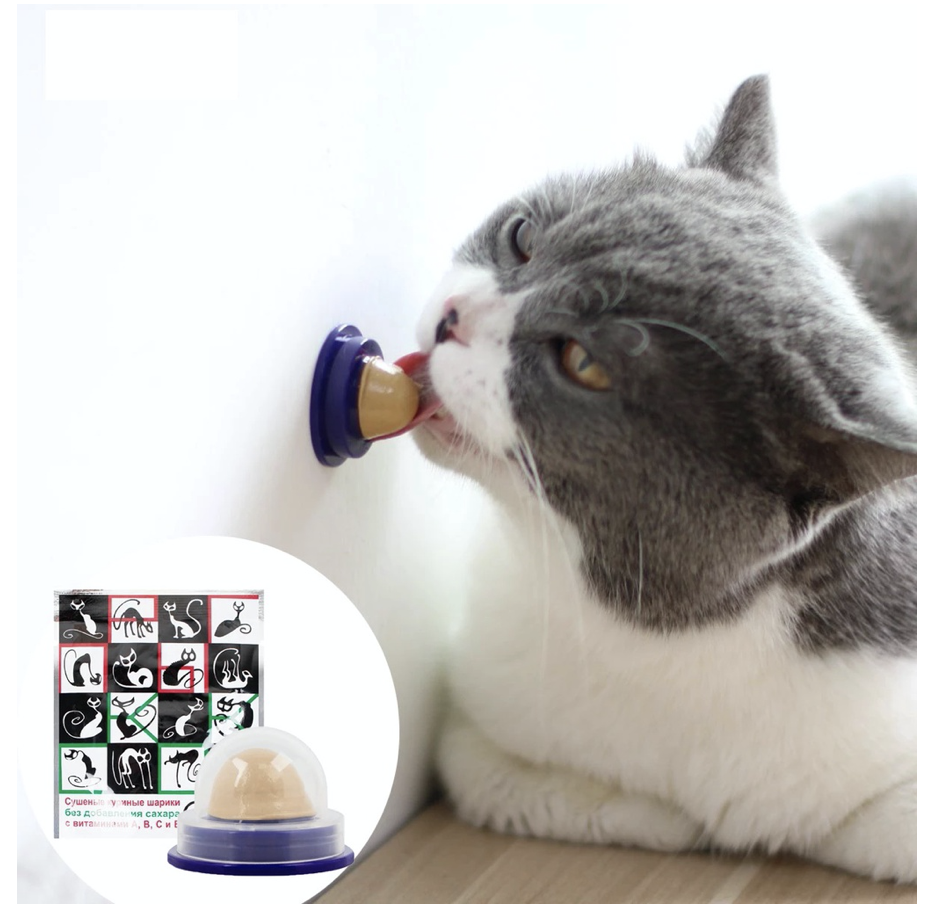 Kẹo Catnip Dán Tường Cho Mèo