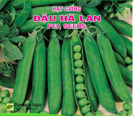 [HCM]GÓI 20 GRAM -ĐẬU HÀ LAN ITALIA  CHẮC HẠT .