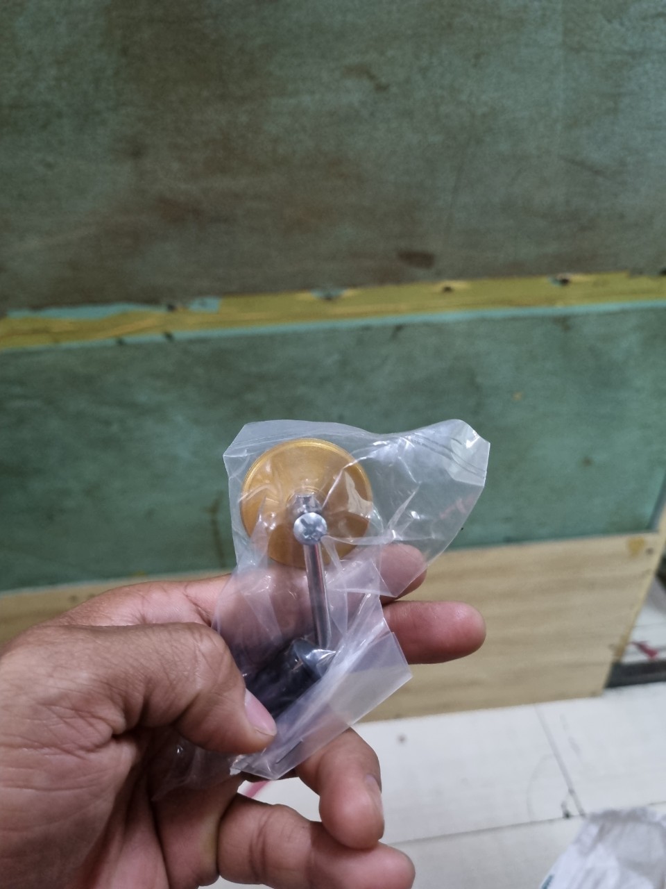 KIẾNG TRÒN NHỎ MINI