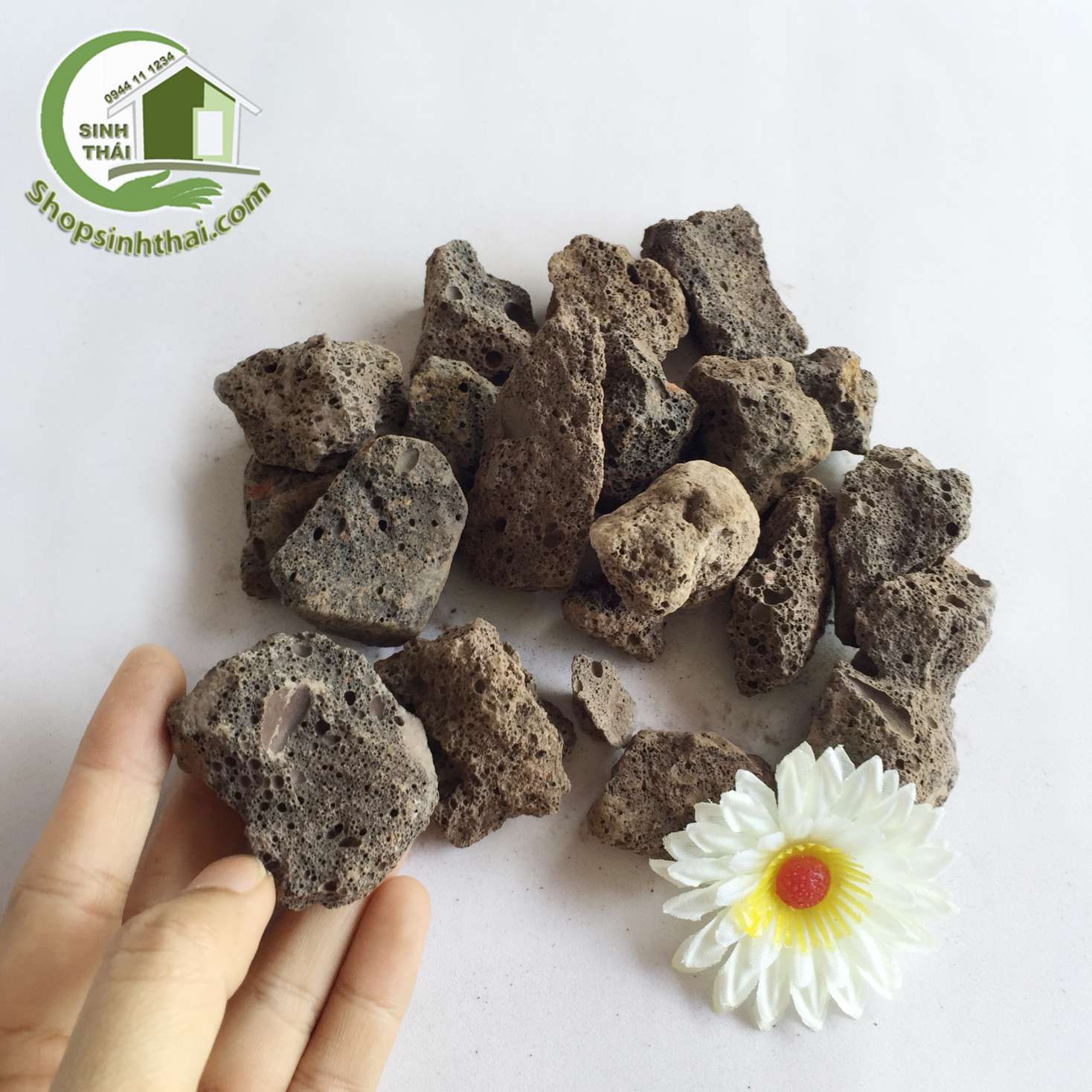 [HCM]1kg Đá nham thạch núi lửa - vật liệu lọc trang trí bể cá