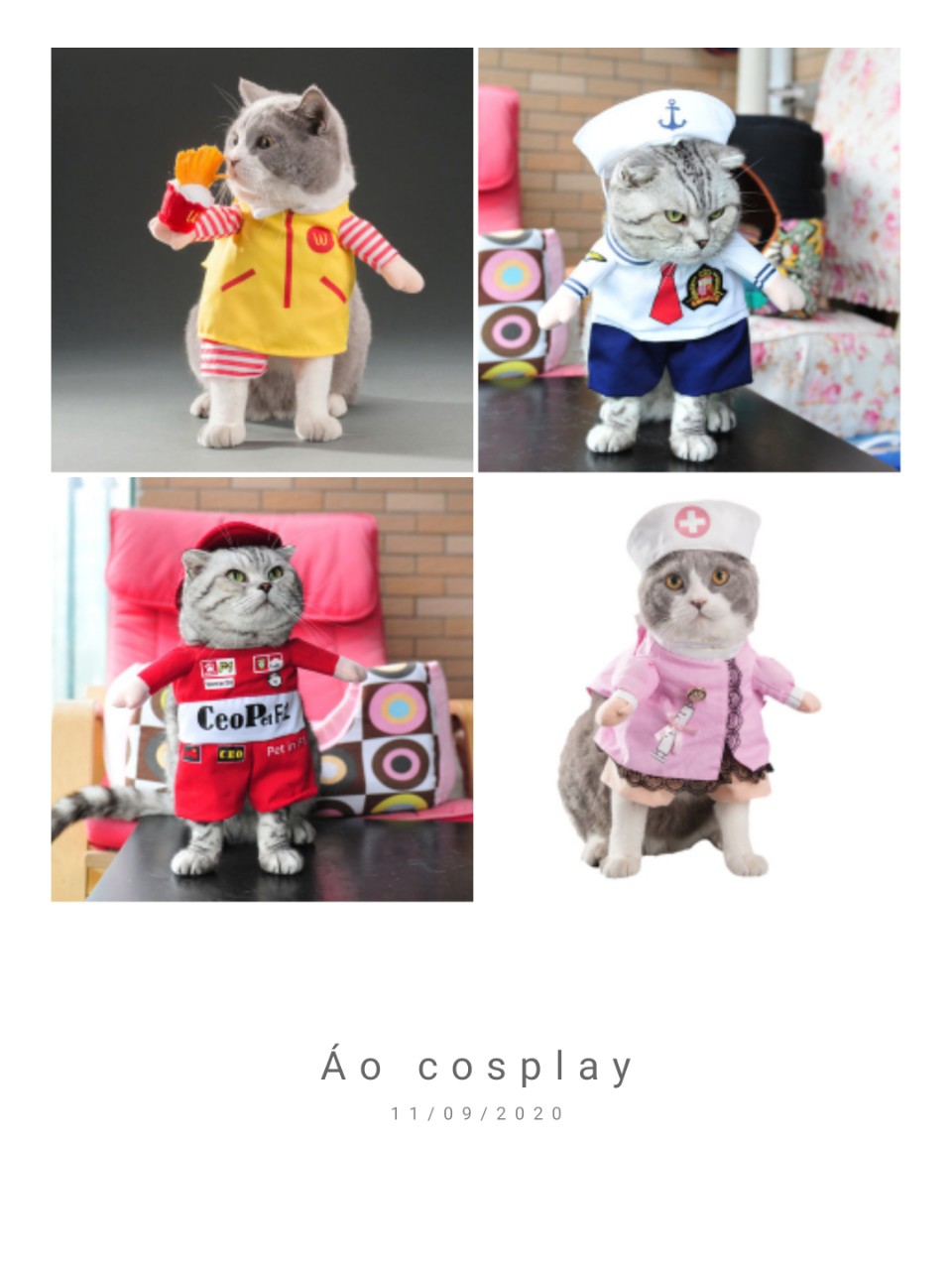 Áo cosplay cho chó mèo S, M, L (Inbox chọn mẫu)