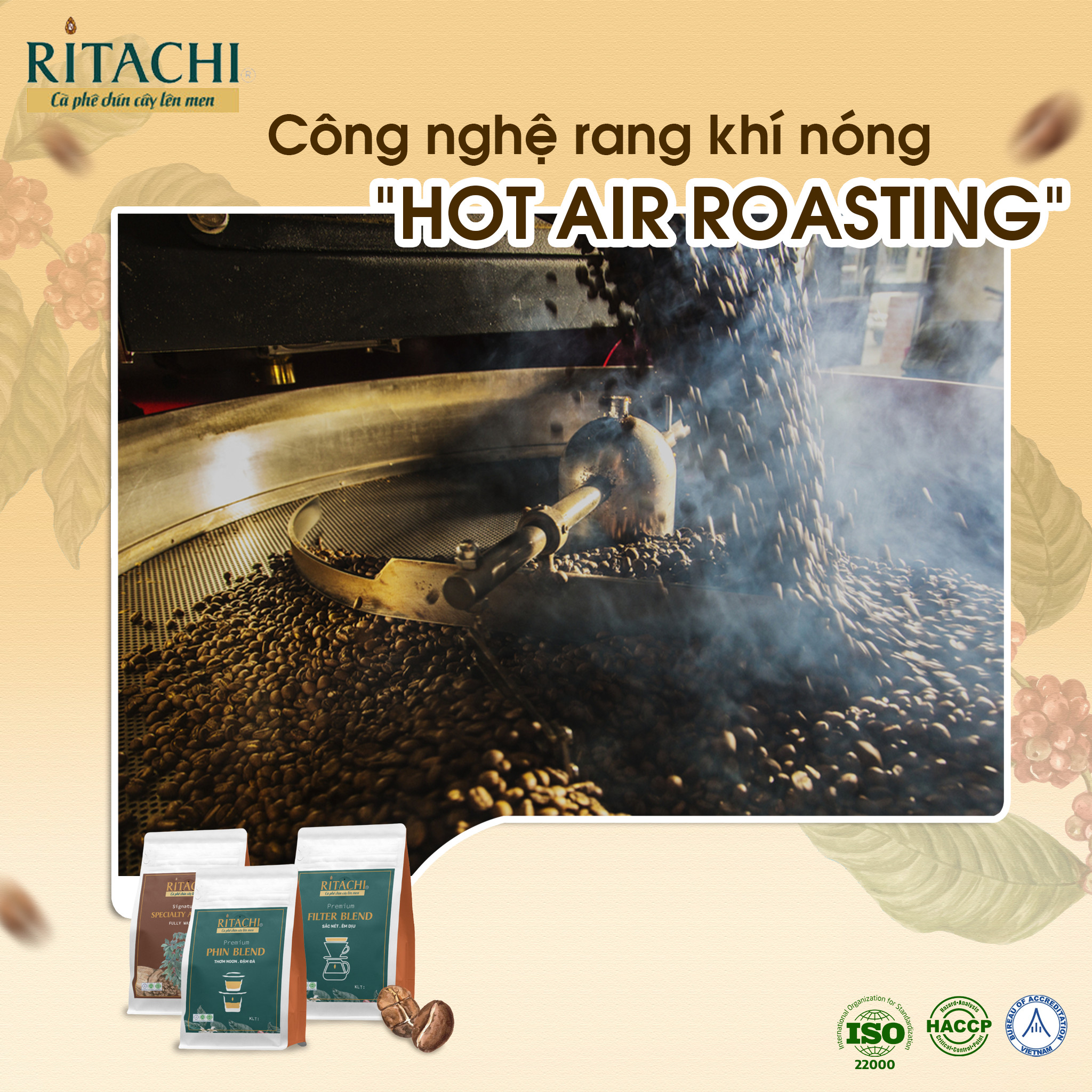Combo Cà phê Filter Blend và Espresso Blend, Phối Cafe Arabica và Rubusta, 100% Rang Mộc,Cà Phê Pha Máy, Pha Phin, Cold Brew, Fine Robusta và Specialty Arabica 2 gói 250gr