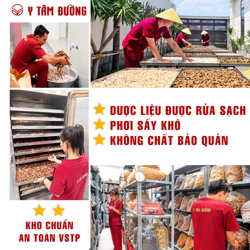 Tắc kè khô thượng phẩm - 1cặp gồm 2con