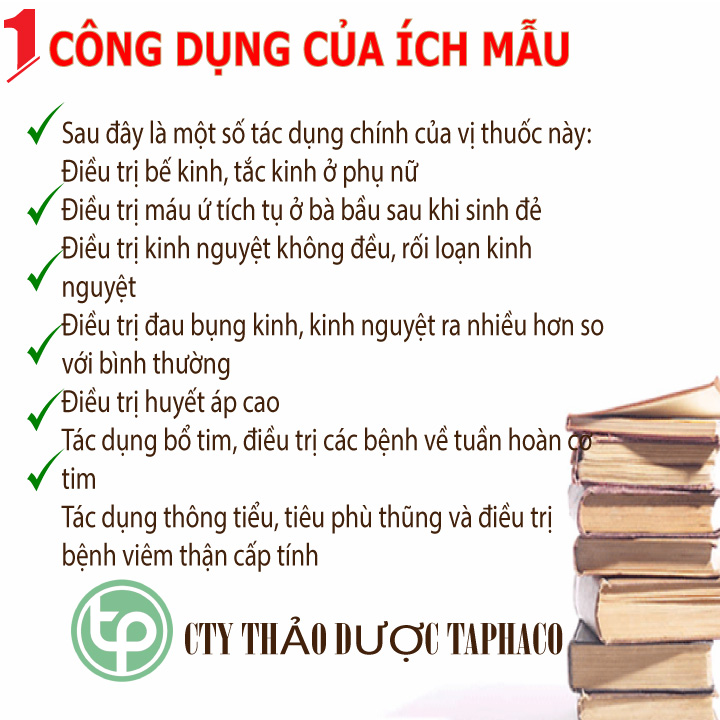 Cây ích mẫu khô 500g - Trà ngon bổ dưỡng - Thảo Dược Tấn Phát