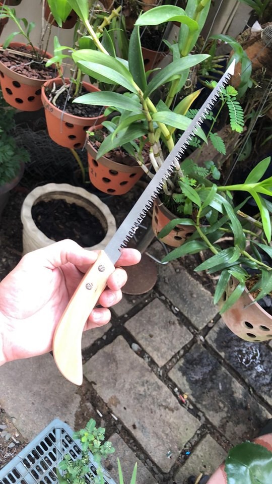 Cưa mini cưa cành trong vị trí hẹp