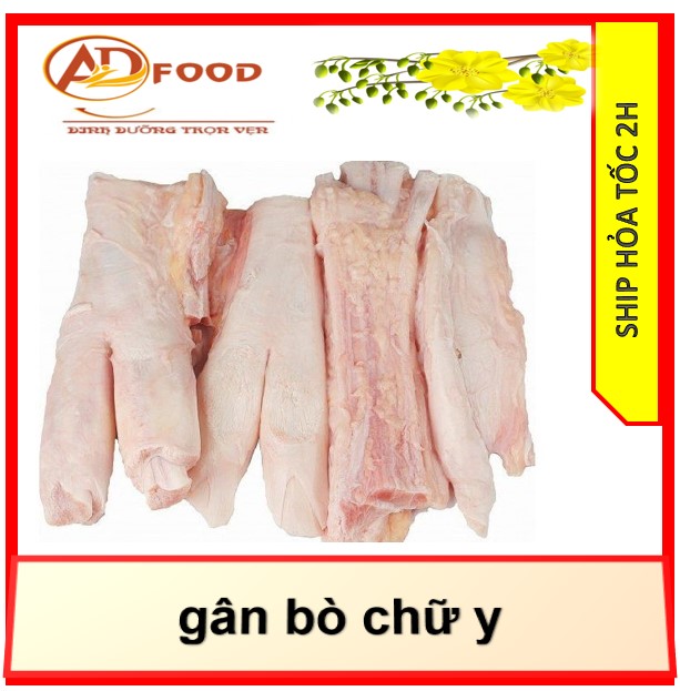 500gr gân bò chữ y siêu ngon