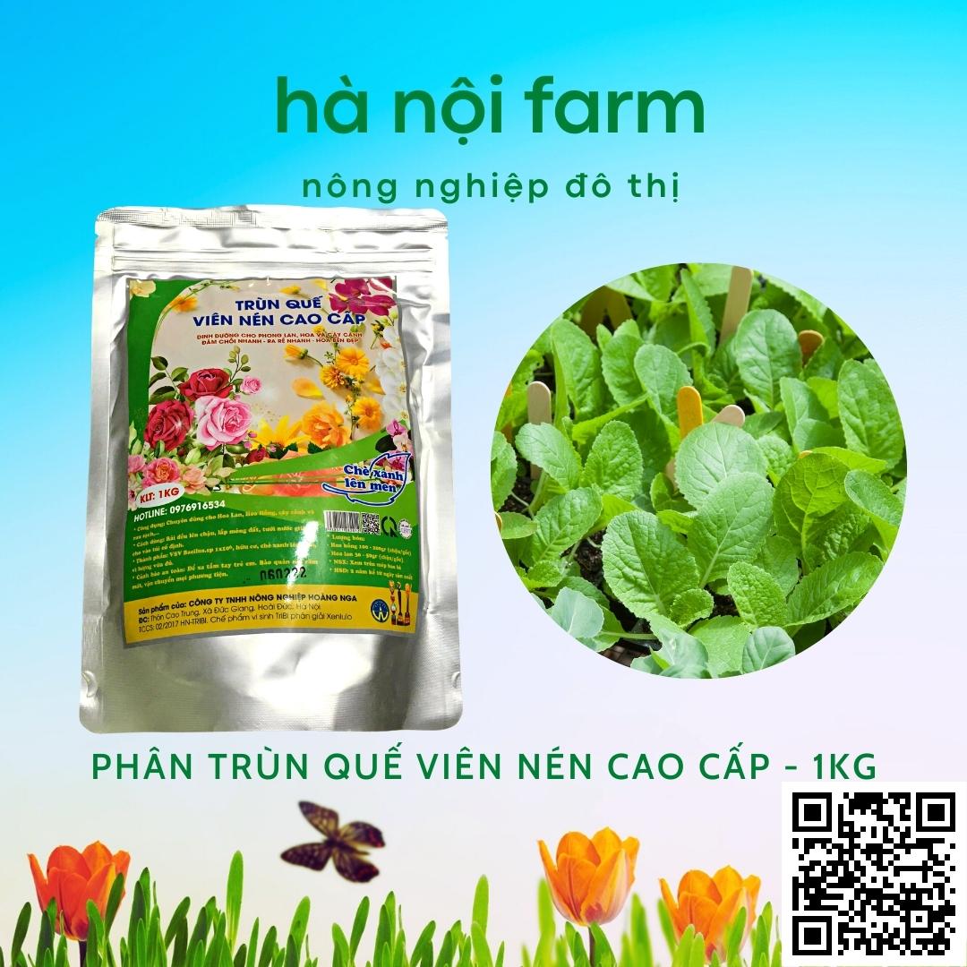 phân trùn quế viên nén cao cấp - gói 1kg