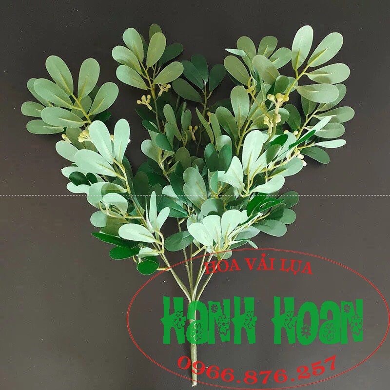 Chùm lá thanh mai - Lá giả
