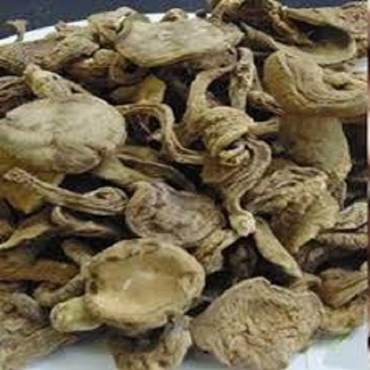 200G NẤM TRÀM KHÔ NGON RẺ
