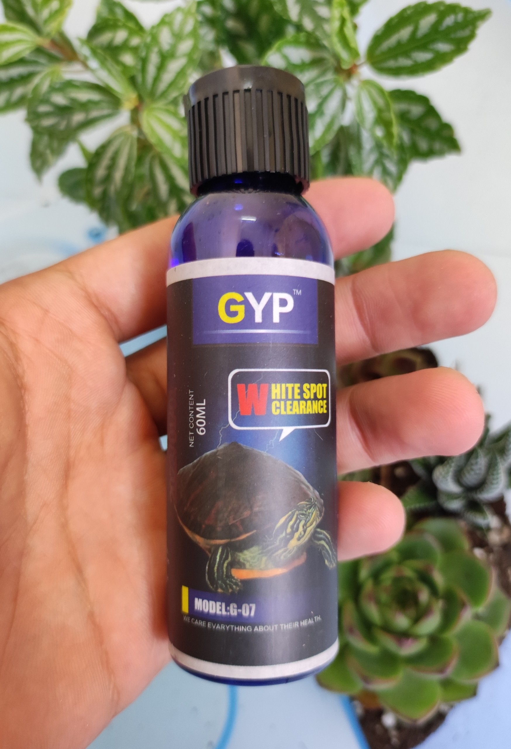 Thuốc trị nấm cho rùa cảnh, thối mai, thối yếm, đốm trắng, nhiễm trùng ở rùa cảnh và bò sát của hãng gyp