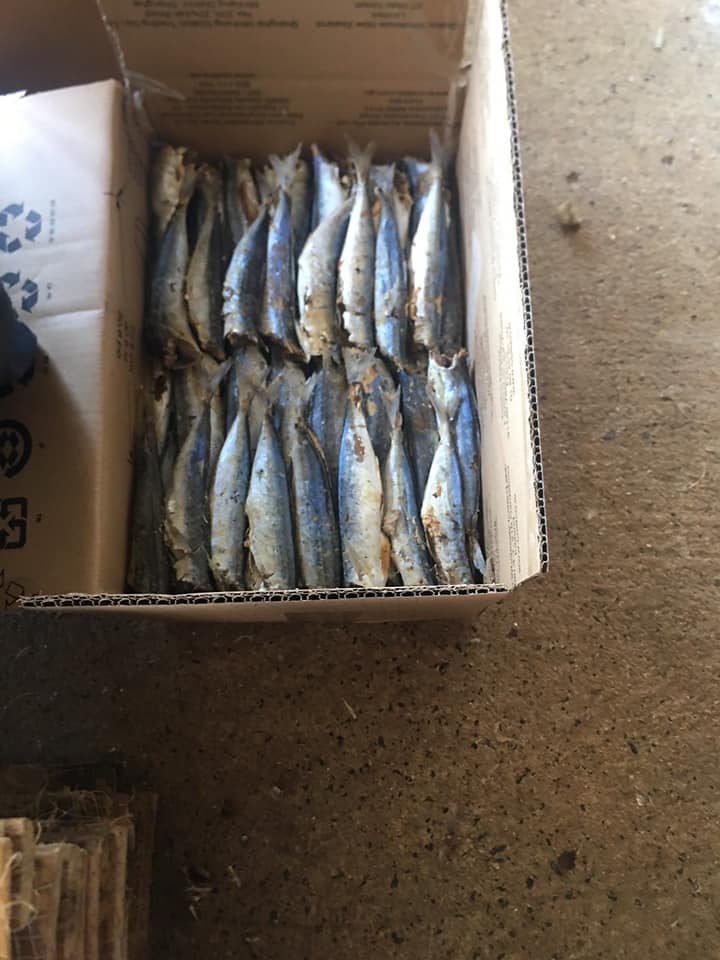 Bán sỉ 1 kg cá nục hấp nhạt