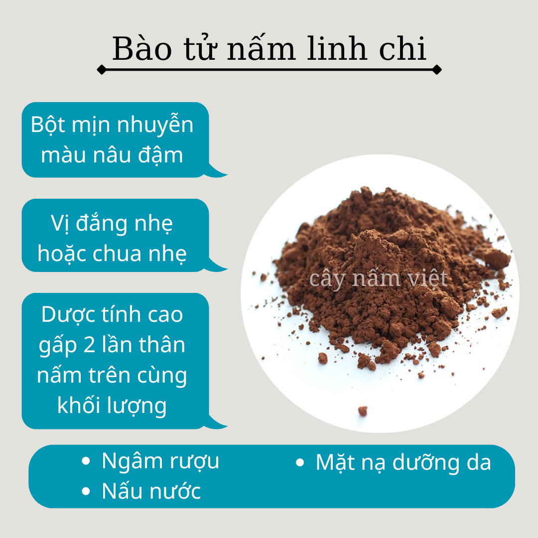Bào tử nấm linh chi đỏ 100g CNV