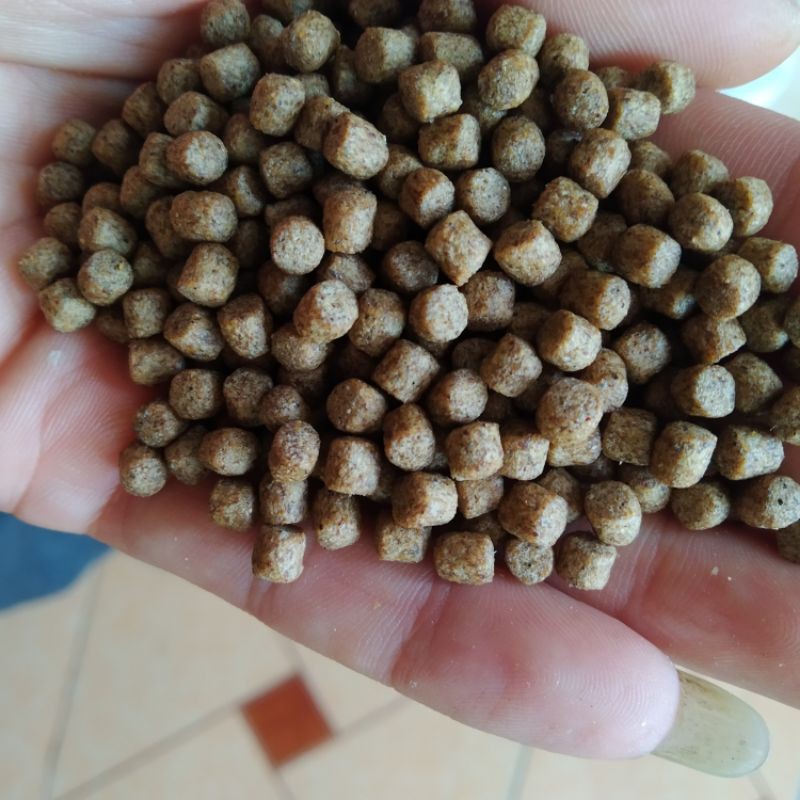 1kg Cám cá American feeds, siêu đạm dành cho cá Koi, cá vàng