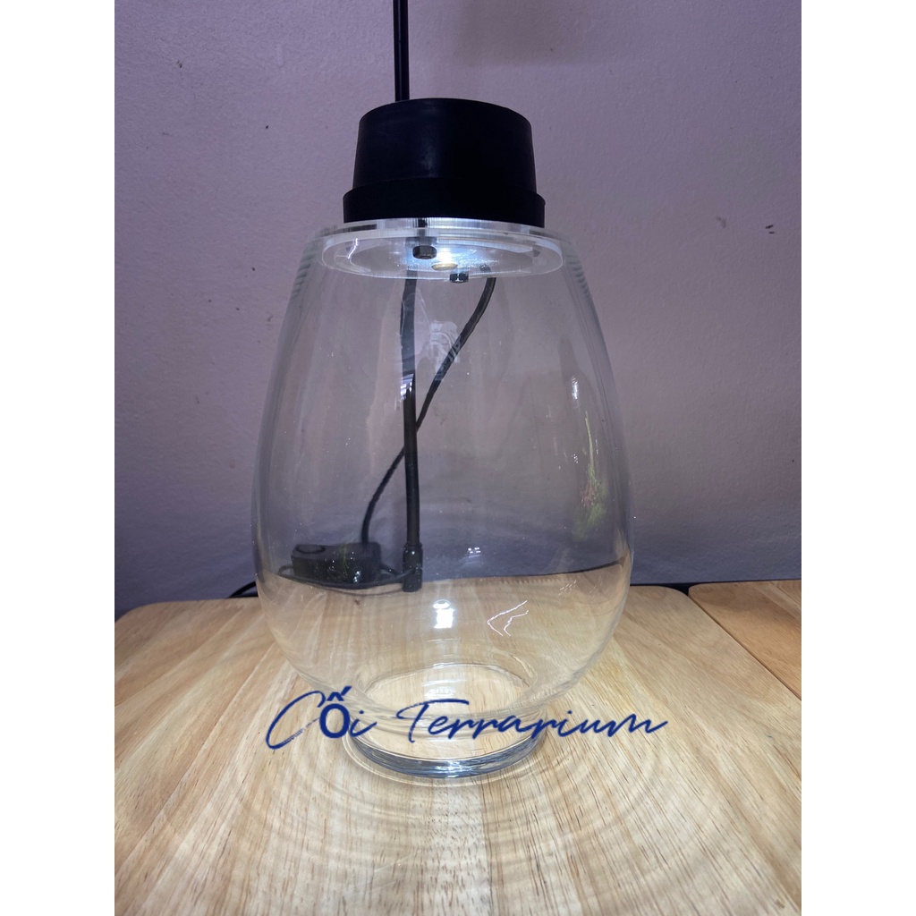Nắp đèn cho bình terrarium hàng đặt 3w size 9cm