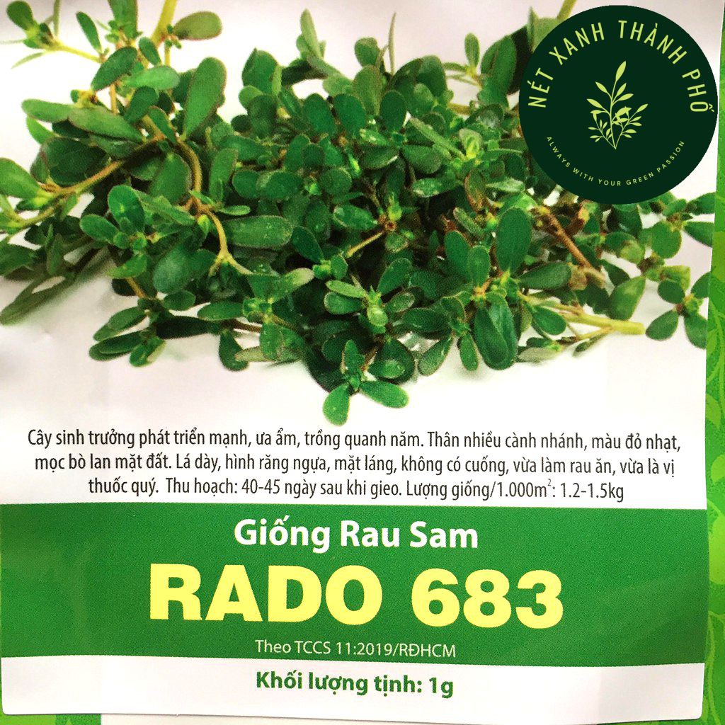 [GIAO HÀNG 2 GIỜ] Hạt giống Rau Sam 1gr