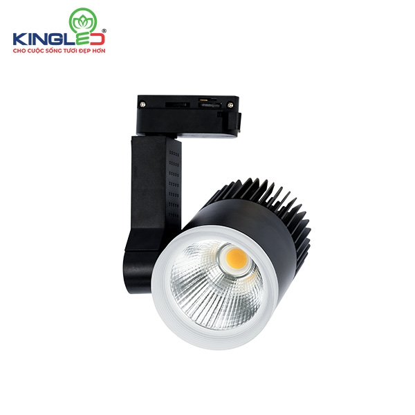 Đèn Led Rọi Ray Beryl - Kingled (DTL-SS)