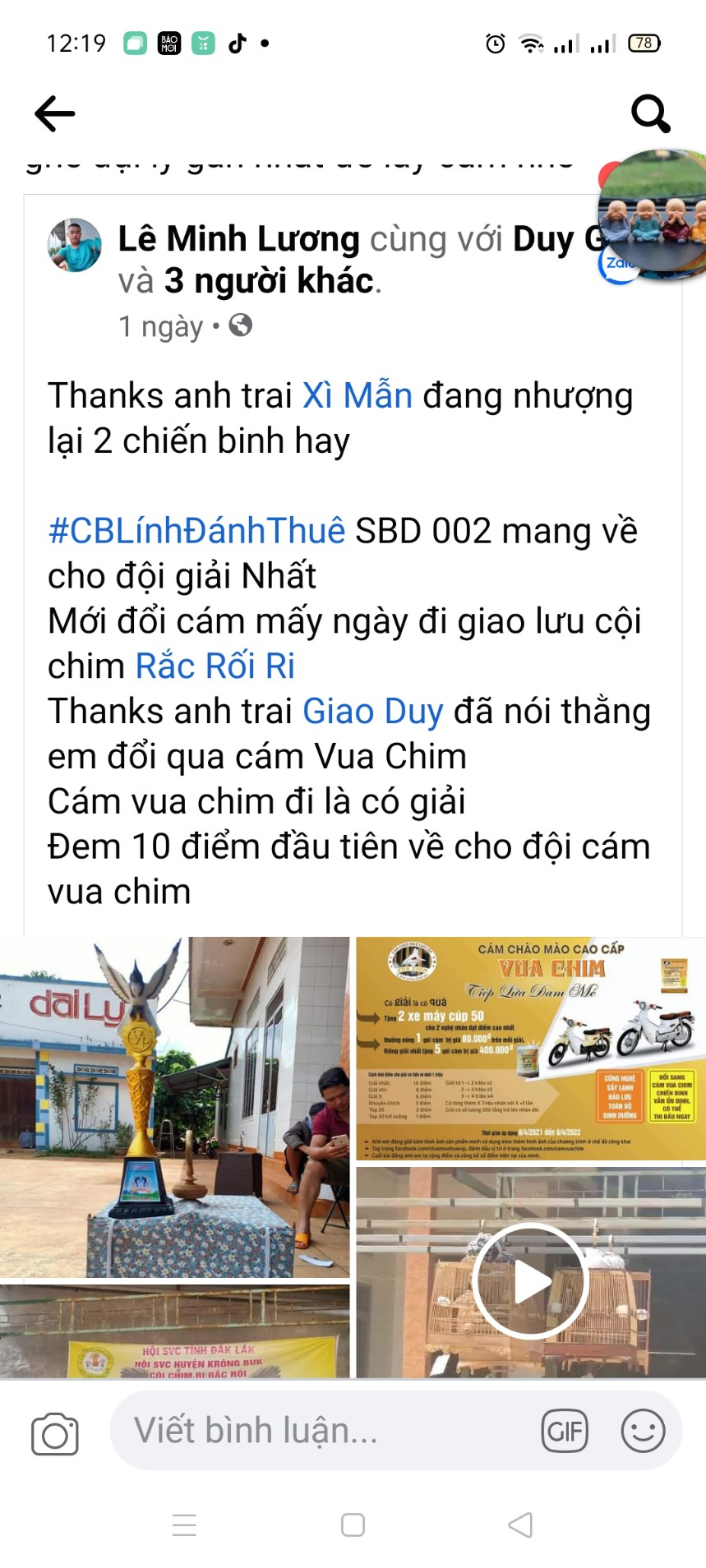 cám vua chim sấy lạnh dưỡng đấu