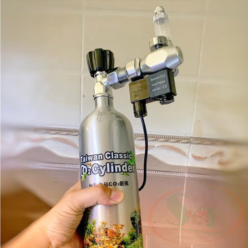Bình Co2 Nhôm Taiwan Classic Co2 Cylinder