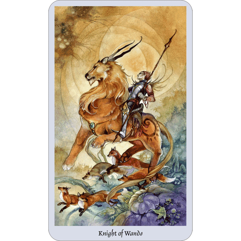 Bộ Bài Shadowscapes Tarot Deck (Mystic House Tarot) - Bài Gốc Authentic Chính Hãng 100%