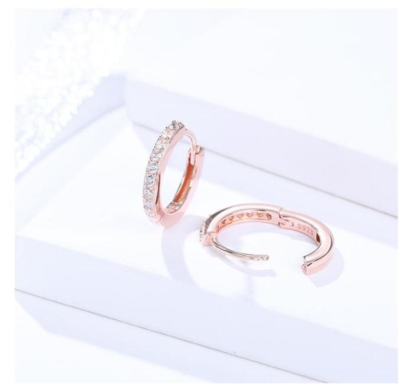 Bông tai nữ trang sức bạc Ý S925 Lasea - Hoa tai tròn gắn đá Zircon cao cấp E052