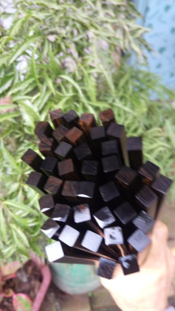 Đũa Gỗ Mun Sừng (10 Đôi)