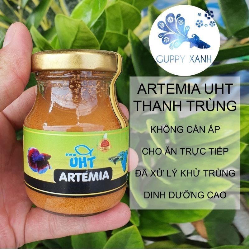 Artemia Khử Trùng UHT Thái Lan - Ấp nở sẵn cho ăn trực tiếp