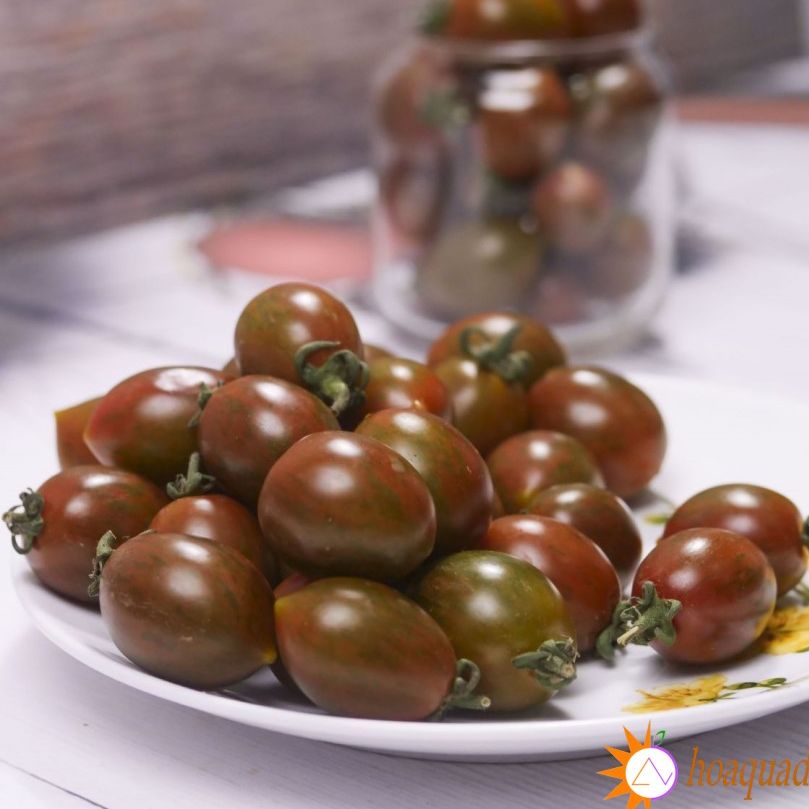 Hạt Giống Cà Chua Socola bi Siêu Trái-gói 20 hạt