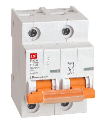 Aptomat BKH-2P-80A, 100A, 125A/10KA