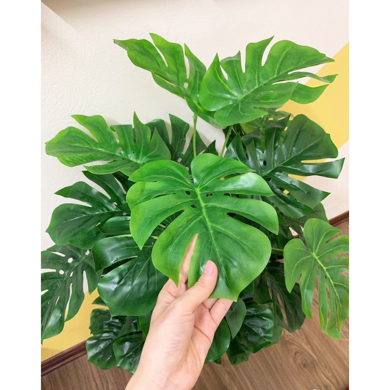 [Mã SKAMLSC228 giảm 10% đơn 100K] Cây giả cây trầu bà lá xẻ decor