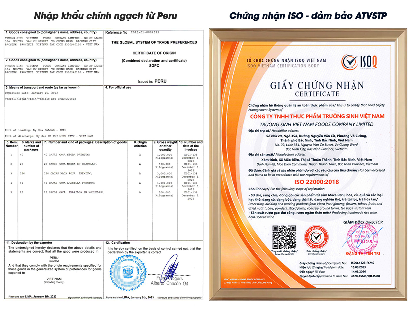 SÂM CỦ MACA PERU ĐỎ KHÔ ngâm rượu, sắc thuốc, pha trà
