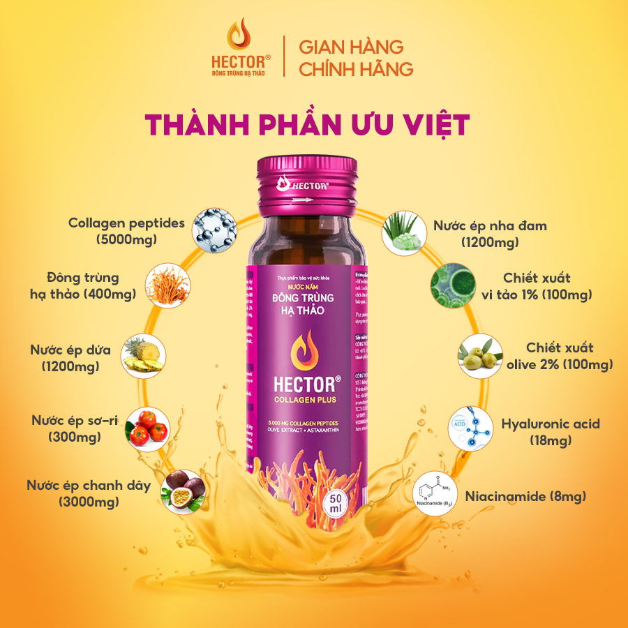 NƯỚC NẤM ĐÔNG TRÙNG HẠ THẢO HECTOR COLLAGEN PLUS (hộp 10 chai)