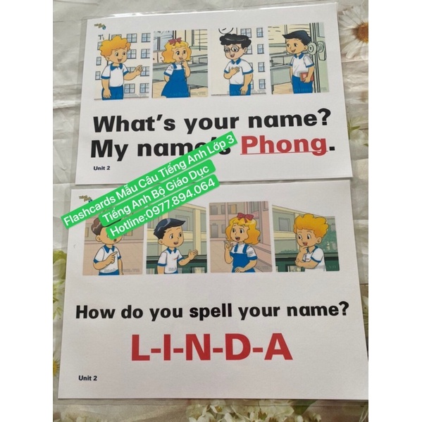 Combo Flashcard Mẫu Câu Lớp 1-2-3-4-5 ( Tiếng Anh Bộ Giáo Dục -Tranh A4 ép plastic bền đẹp)