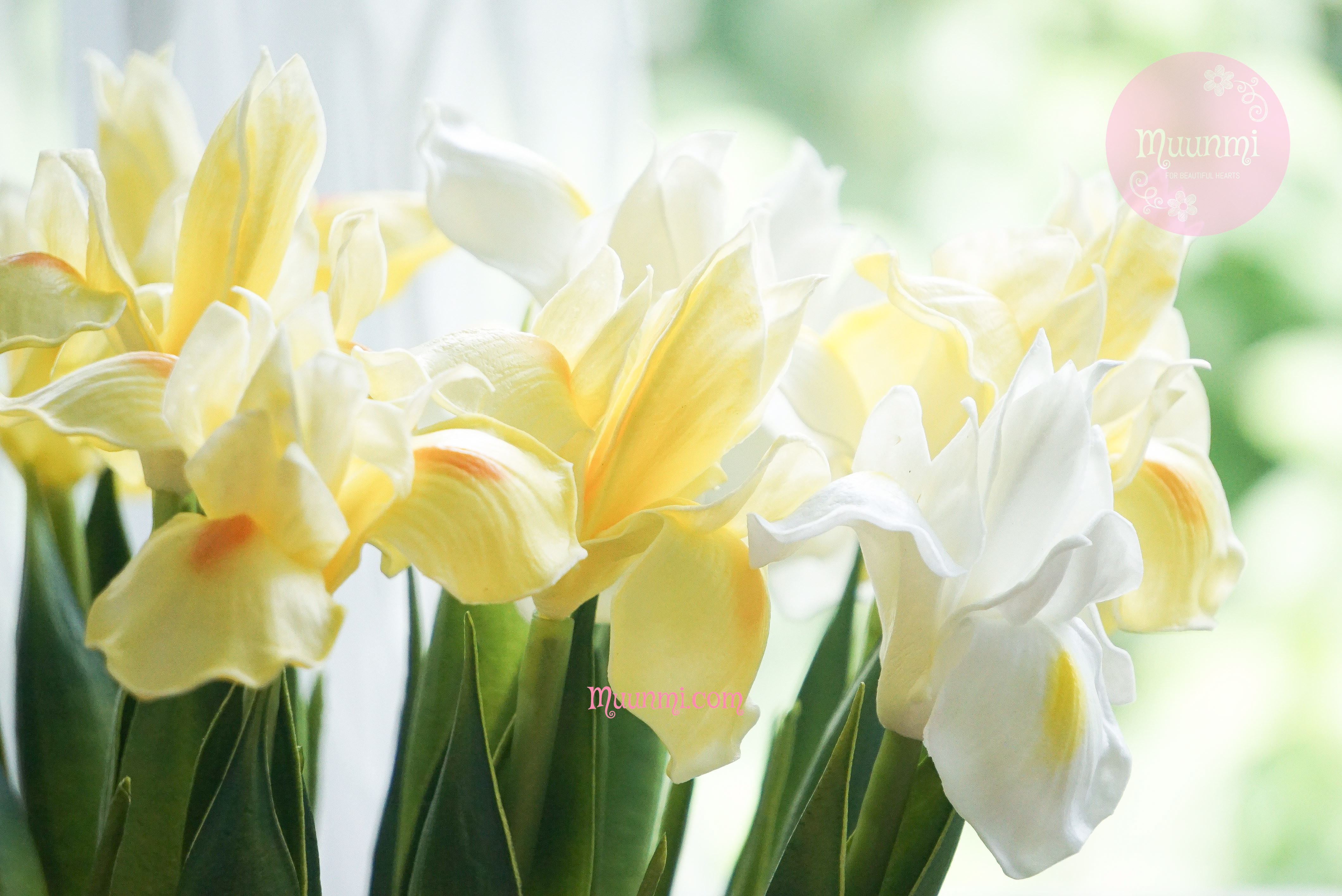 Hoa lụa 🌸 | Hoa DIÊN VĨ đẹp nhẹ nhàng thanh nhã ( 2 màu Vàng + Trắng)